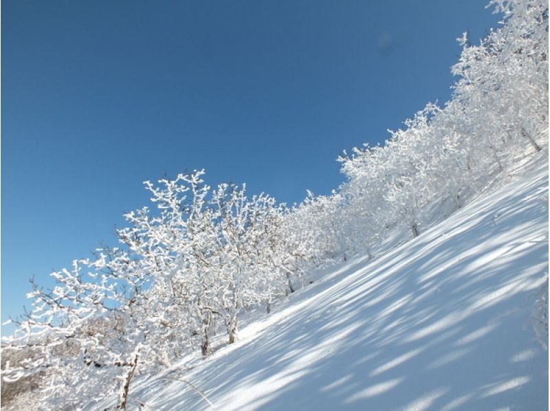 [Okayama Hiruzen] มองไปที่ผนังด้านทิศใต้และ Oyama Hiruzen ที่ราบสูง! Mihirayama Snowshoe ปีนเขาの紹介画像