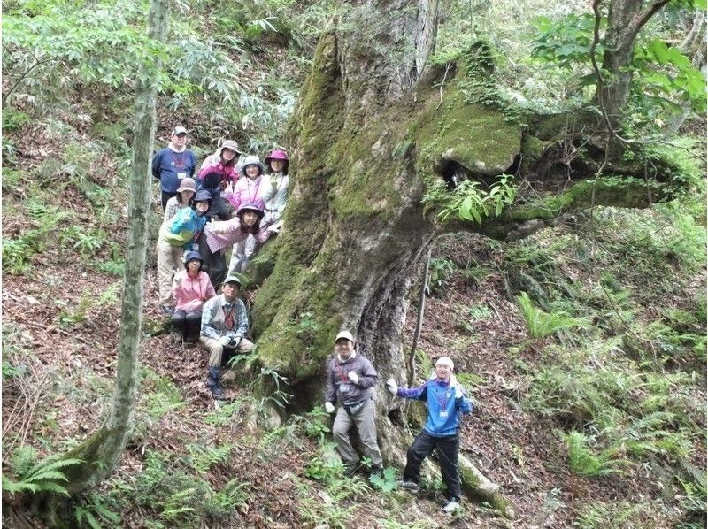 ทัวร์เดินป่าโดยผู้ประกอบการ Hiruzen Tour Desk ที่ตั้งอยู่ในทตโตริ