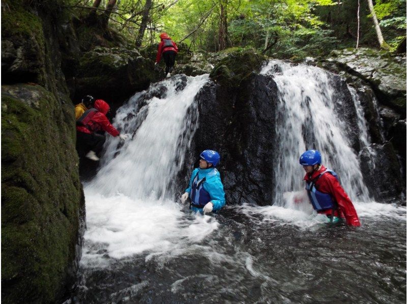 【岡山・蒜山】驚きと感動の世界へ　山乗渓谷リバートレッキング・アドベンチャーの紹介画像