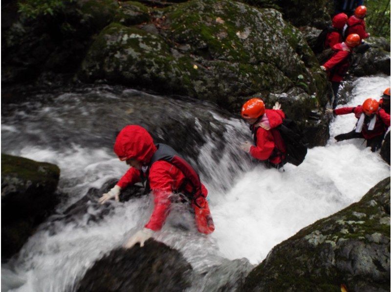 [Okayama Hiruzen] Yamano Valley River trekking adventure into the world of excitement and surpriseの紹介画像