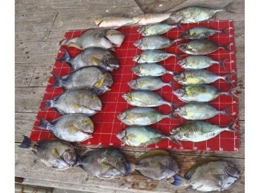 沖縄 本部 初心者 ファミリーok 本部釣りイカダ 手ぶら釣りパックもあります 日中釣りコース アクティビティジャパン 沖縄 本部 初心者 ファミリーok 本部釣りイカダ 手ぶら釣りパックもあります 日中釣りコース アクティビティジャパン