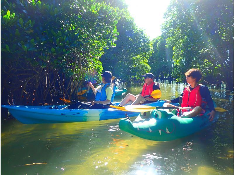 [沖縄&middot;十萬Shukawa]紅樹林皮艇☆完全保留☆從亞熱帶叢林到大海的偉大冒險！僅限11月至6月の紹介画像