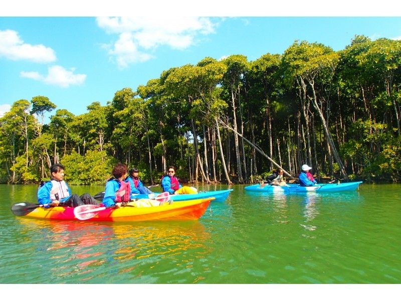 [Okinawa ・ Billion Shukawa] Mangrove Kayak ☆ Completely reserved ☆ Great adventure from the subtropical jungle to the sea! November to June onlyの紹介画像
