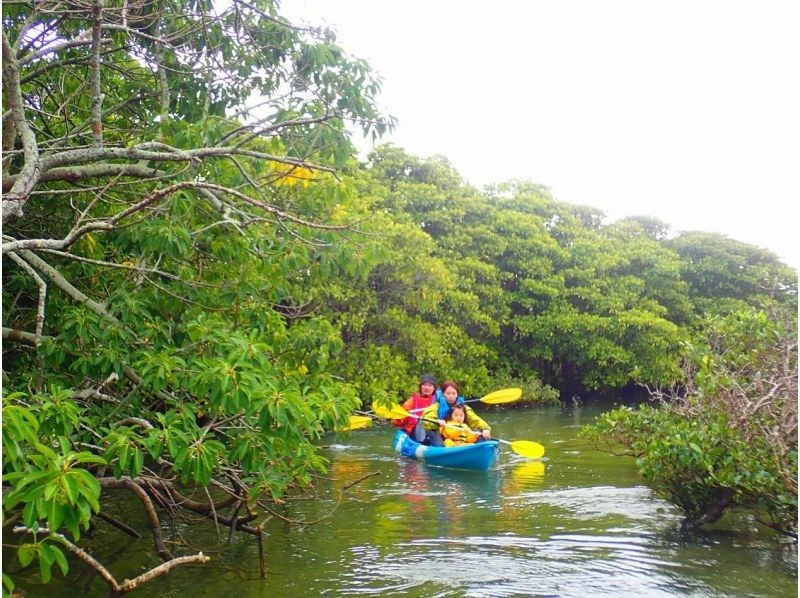 [沖縄&middot;十萬Shukawa]紅樹林皮艇☆完全保留☆從亞熱帶叢林到大海的偉大冒險！僅限11月至6月の紹介画像