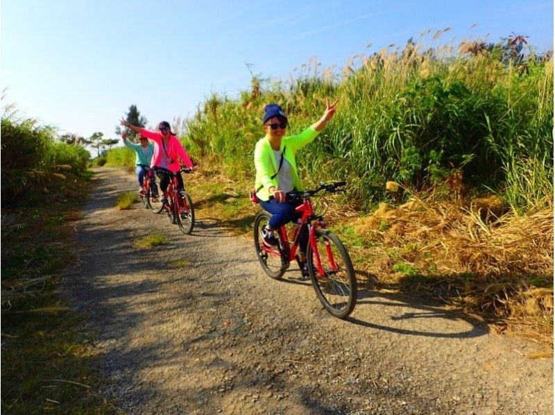 【沖縄・読谷】美ら島サイクリング〜オフロード＆ダウンヒル＆カントリーロードなど多彩な景観をMTBでGo！学生グループにおすすめ！の紹介画像
