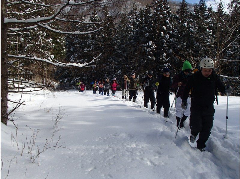 [Tochigi-Nikko] If you are confident in your feet here! ? In search of a superb view! Yunlong Valley Ice World Tourの紹介画像