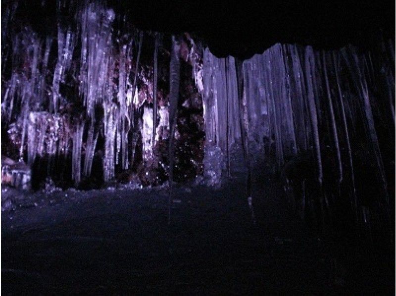 【야마나시현 미나 미츠루] 자연 산책로가는 바람 구멍 · 얼음 동굴 네이처 가이드 투어 (60 분 코스)の紹介画像