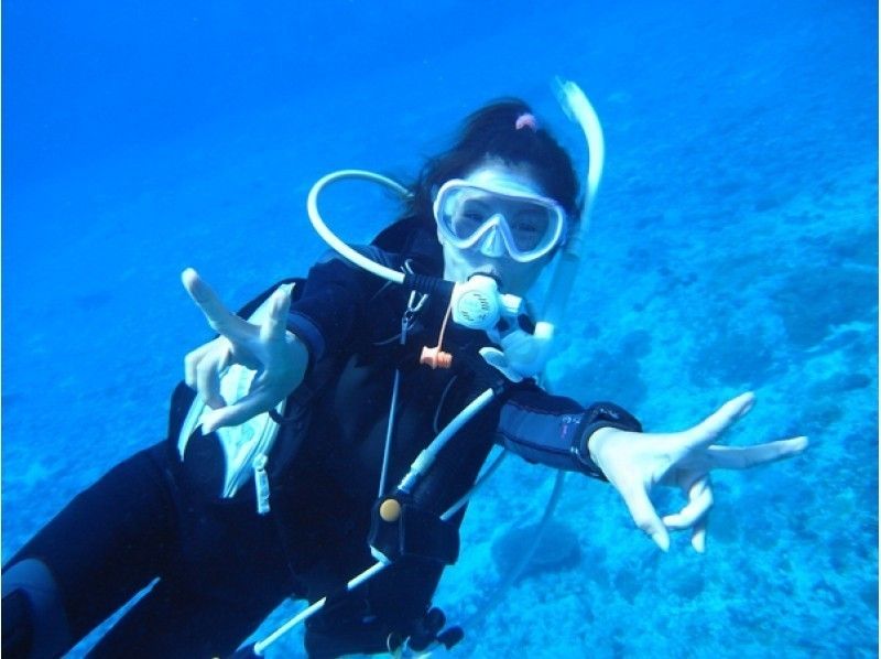 【east Kyoto ・ Ikebukuro]Tokyo A day trip from! Experience with transfer in Izu Peninsula Diving!の紹介画像