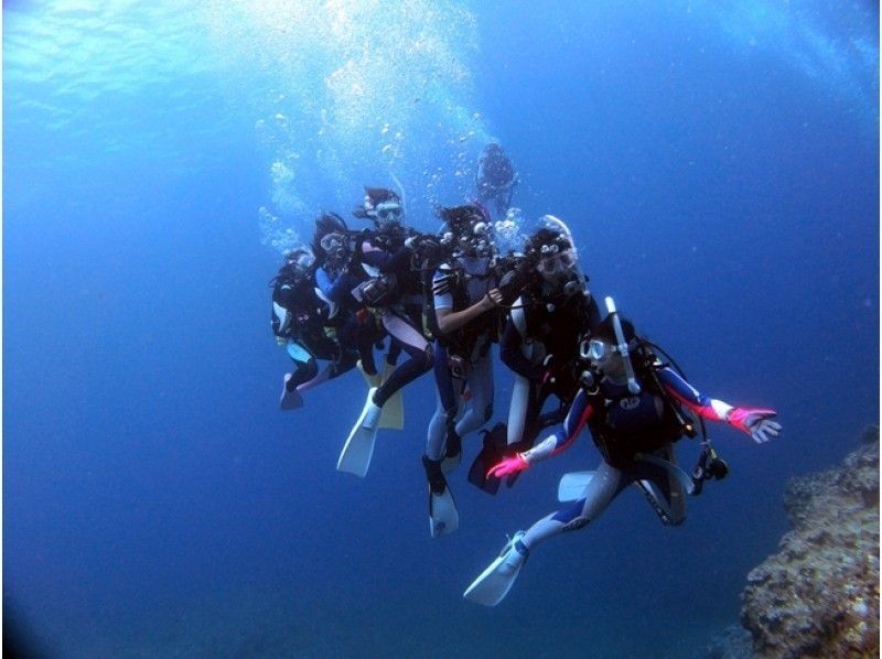 【east Kyoto ・ Ikebukuro All costs included! PADI Open Water Getting licenses courseの紹介画像
