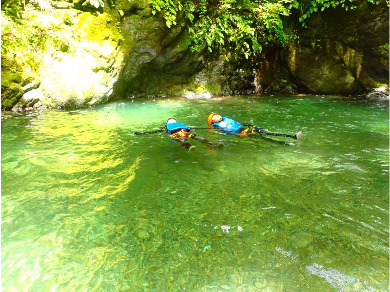 [Tokyo / Okutama] Half-day Canyoning! Integrated with Nature! Hot shower facilitated!