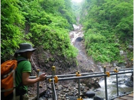 青森 白神山地 トレッキング ブナ林散策道 暗門第3の滝コースで神秘の自然を五感で感じる アクティビティジャパン