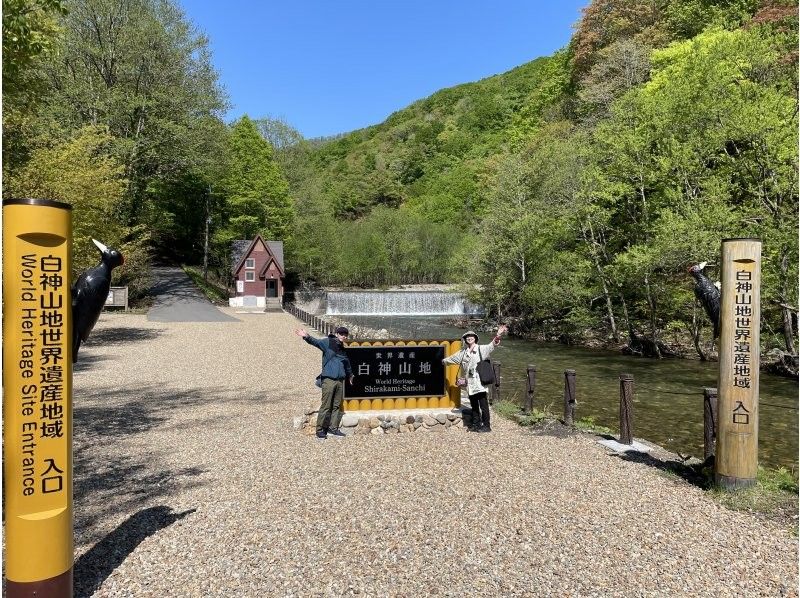 [Aomori / Shirakami Mountains] Trekking / Beech forest walking path & Anmon No. 2 waterfall course, you can feel the mysterious nature with all five senses!の紹介画像
