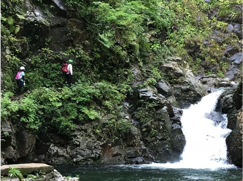 [Aomori / Shirakami Mountains] Trekking / Beech forest walking path & Anmon No. 2 waterfall course, you can feel the mysterious nature with all five senses!の紹介画像