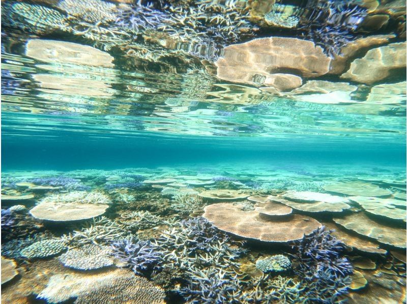 【沖縄・宮古島】気軽にトライ可！八重干瀬（ヤビジ）半日ボートシュノーケリングツアーの紹介画像