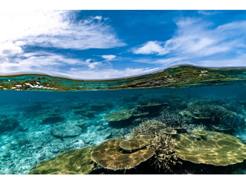 【沖縄・宮古島】気軽にトライ可！八重干瀬（ヤビジ）半日ボートシュノーケリングツアーの紹介画像