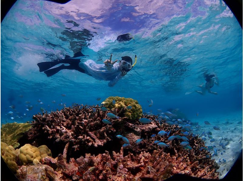 【沖縄・宮古島】気軽にトライ可！八重干瀬（ヤビジ）半日ボートシュノーケリングツアーの紹介画像