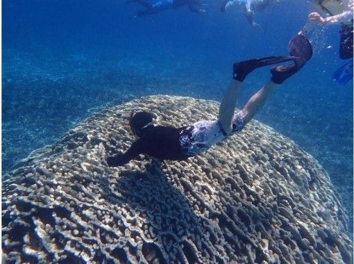 沖縄 宮古島 気軽にトライ可 八重干瀬 ヤビジ 半日ボートシュノーケリングツアー アクティビティジャパン