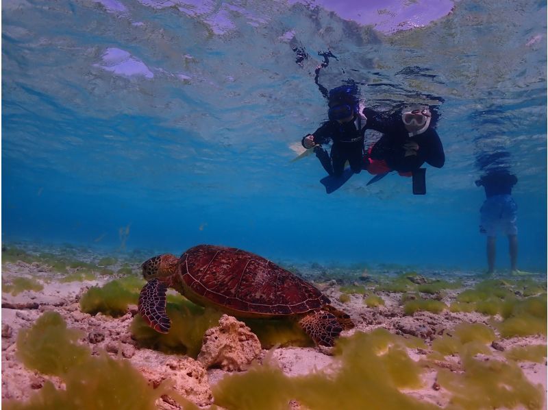【沖縄・宮古島】気軽にトライ可！八重干瀬（ヤビジ）半日ボートシュノーケリングツアーの紹介画像