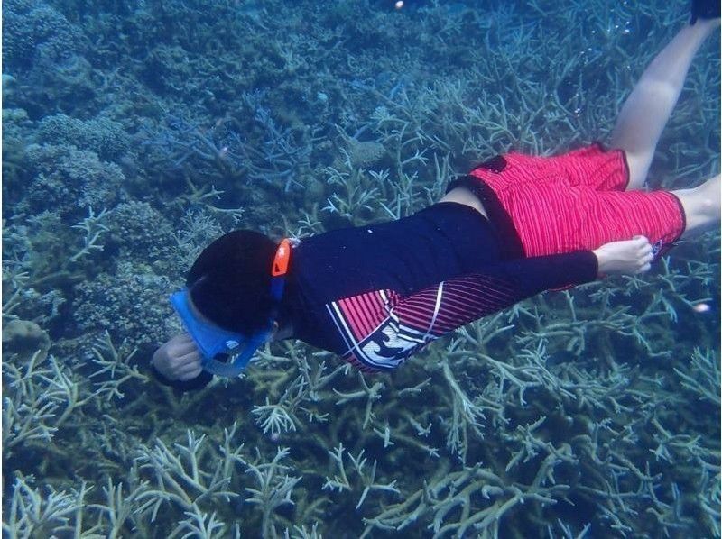 沖縄 宮古島 気軽にトライ可 八重干瀬 ヤビジ 半日ボートシュノーケリングツアー His