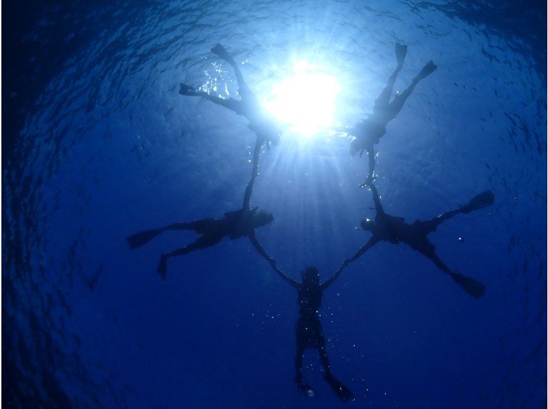 [โอกินาว่า-มิยาโกจิม่าลองฟรี! เรือ Yae Yose (Yavily) ครึ่งวันการดำน้ำตื้น(Snorkeling)การท่องเที่ยวの紹介画像