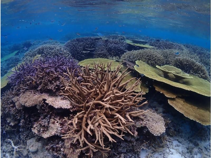 シュトラ　ノーマル　にひたや ポルシェ 718 ボクスターT 6MT ワンオーナー 左ハンドル スポーツ