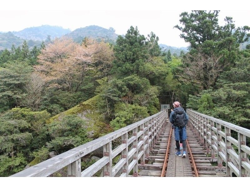 [鹿儿岛-屋久岛]世界自然遗产屋久岛渴望Jomon Sugi徒步旅行！の紹介画像