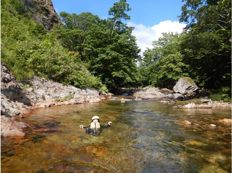 [Niseko, Hokkaido] A private family canyoning tour limited to one groupの紹介画像