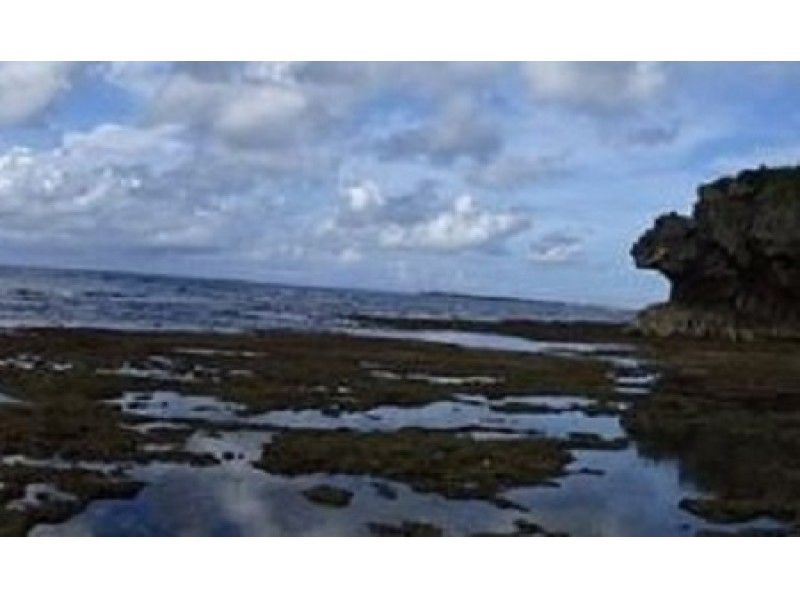 [Kagoshima/ Okinoerabujima] B. Beach tour “Introduction of coastline walks, strange rocks and sea turtle view points”の紹介画像