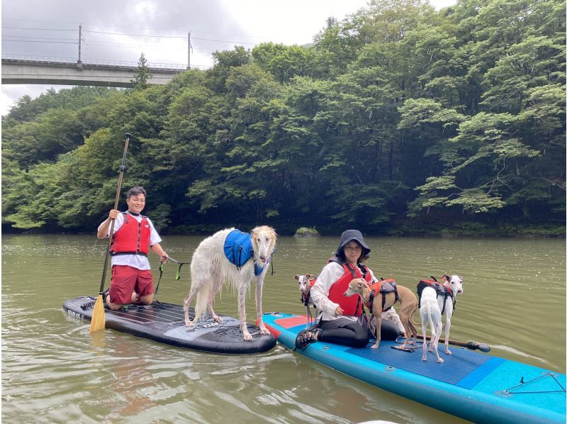 【栃木・日光】川治温泉SUP体験ツアー（鬼怒川エリア）の紹介画像