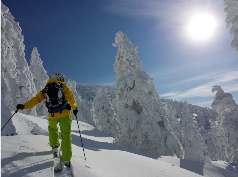 backcountry skier moving through a snowy mountain frost-covered trees spectacular view extraordinary powder snow