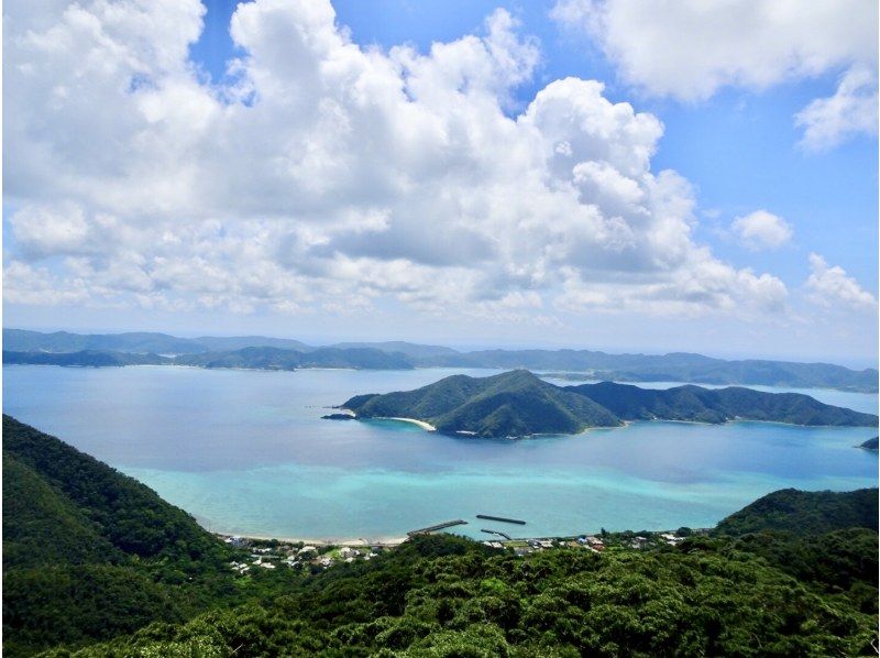 【鹿児島・奄美大島】送迎付き！１日ツアーマングローブカヌーと奄美の絶景ツアー