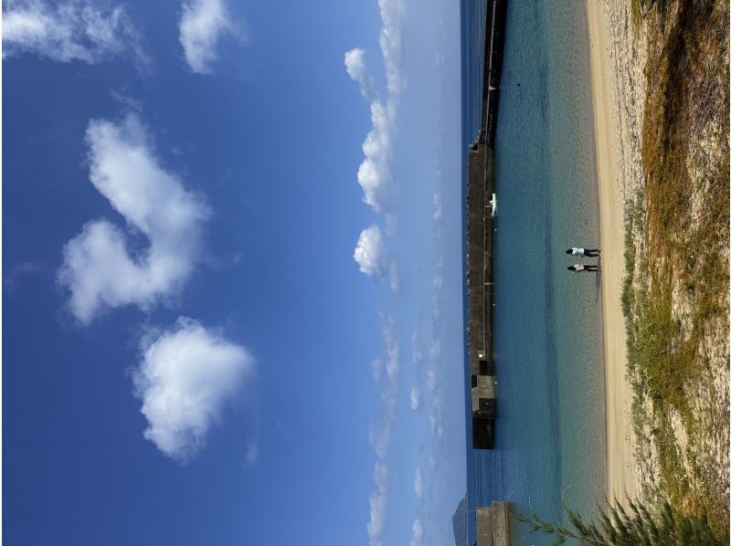 [Kagoshima/Amami Oshima] ★Transportation included★Private tour★One-day mangrove canoe tour and Amami's spectacular viewsの紹介画像