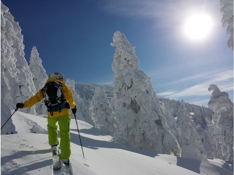 [Aomori ・ Hakkoda】 Let's see the ice in Hakkoda! Snowshoes Tour ★ 4.5 hours course (about 3 hours walk)の紹介画像