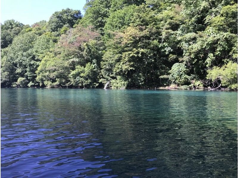 【北海道・支笏湖】手ぶらでOK！（春・夏）底が透明なクリアカヤックで、水質日本トップクラスの湖・川の美しさを体感！ツアー写真無料の紹介画像