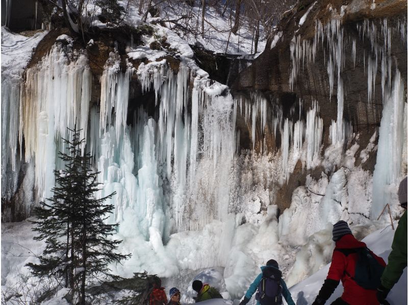 [北海道支Shi湖]2020年[冬季]冰艺术著名的瀑布七条大雪上徒步之旅让我们穿越北部土地の紹介画像