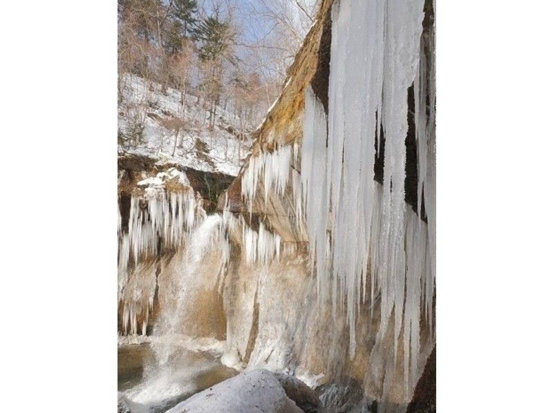 [北海道，支Shi湖]2020年[冬季]冰藝術瀑布四條大雪上徒步之旅讓我們穿越北部土地の紹介画像