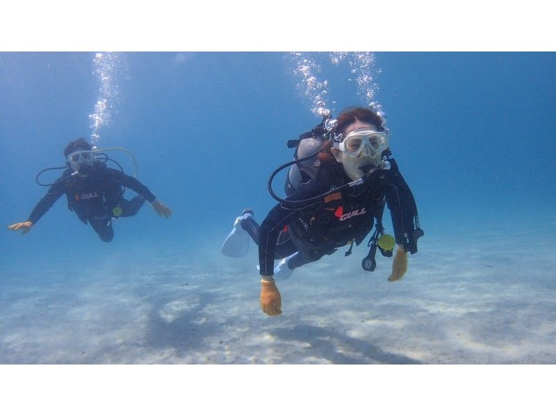 [鹿儿岛-屋久岛]深潜初学者和一个人欢迎！经验深潜（2个潜水课程）の紹介画像