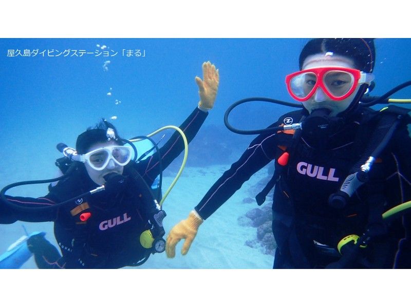 [가고시마·야쿠시마]다이빙초보자 & 일인당 환영! 체험다이빙(2 다이빙 코스)の紹介画像