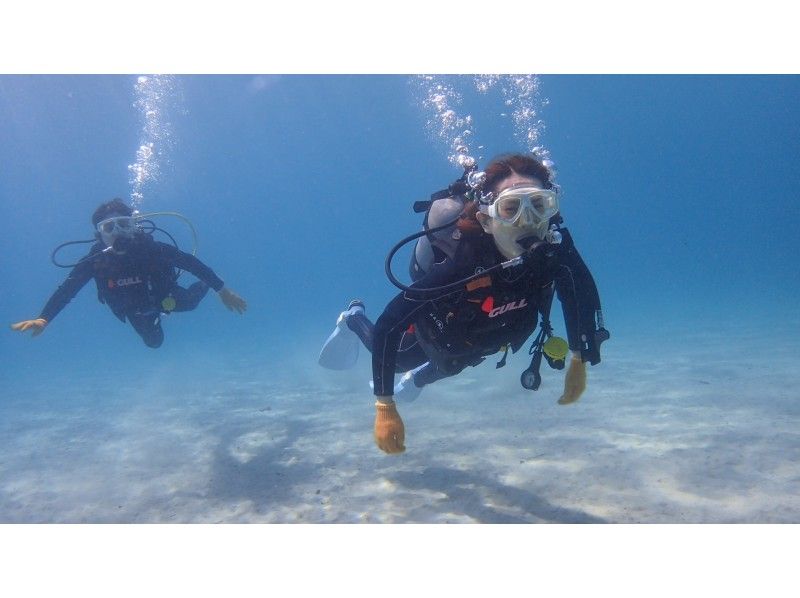 【鹿児島・屋久島】【体験ダイビング（1ダイブコースまたは1ダイブロングコース）】屋久島ガイド歴25年の女性オーナー常駐！貸切ツアーに変更可！の紹介画像