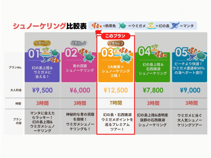 【石垣島・7時間】3大絶景&times;シュノーケリング三昧！幻の島・ウミガメ・サンゴ礁を満喫｜初心者歓迎＆送迎・写真付き_s03の紹介画像