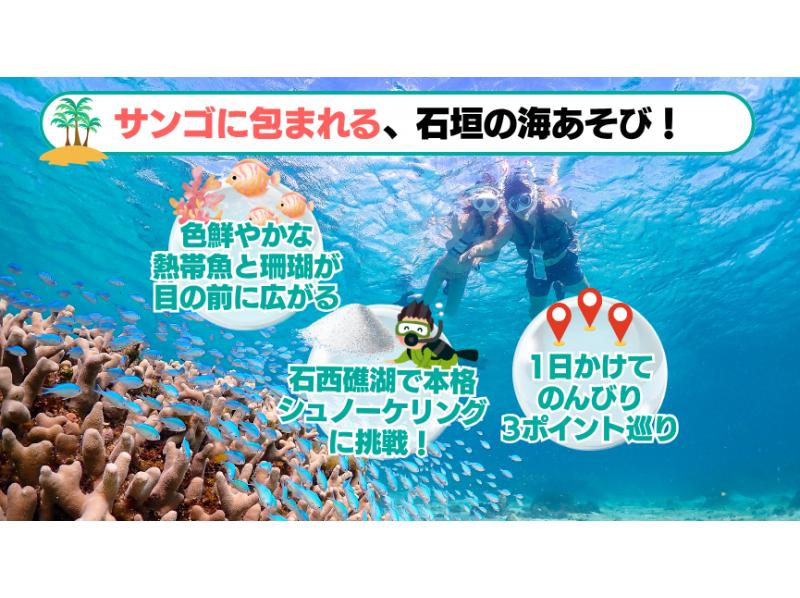 【石垣島・7時間】3大絶景×シュノーケリング三昧！幻の島・ウミガメ・サンゴ礁を満喫｜初心者歓迎＆送迎・写真付き_s03の紹介画像