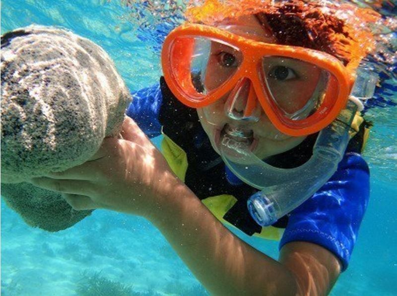 [Autumn sale underway] <Beginners only> Sea turtle snorkel at the coral paradise [Sekisei Lagoon]! Premium plan with landing on a phantom islandの紹介画像