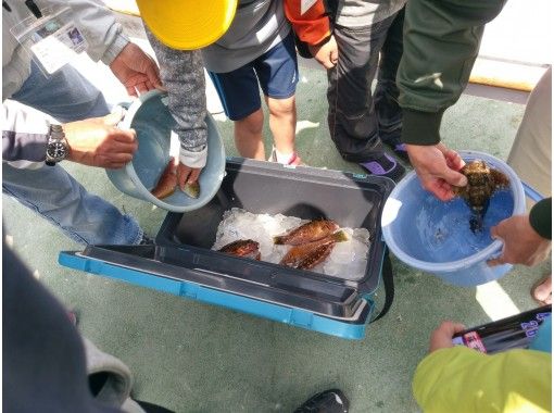 熊本 天草 釣魚 盡情享受 歡迎 雜項捕魚計劃 初學者 推薦暑假 Activityjapan 熊本 天草 釣魚 盡情享受 歡迎 雜項捕魚計劃 初學者 推薦暑假 Activityjapan