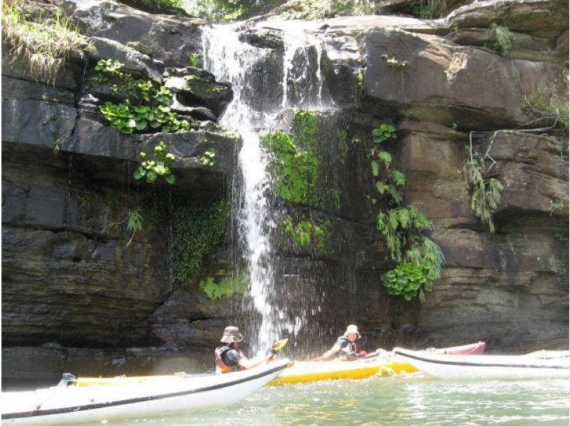 [Okinawa Iriomote] Fune浮-Mizuochi Falls & Ida of beach tour ★ sea kayak tourの紹介画像