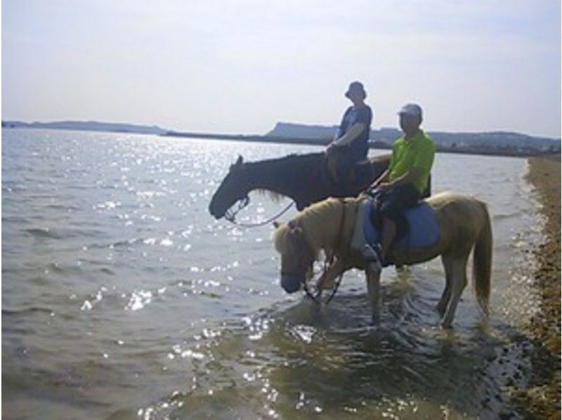【沖縄・宮城島】馬に乗ってビーチをのんびり散歩しよう！ビーチ乗馬（60分コース）の紹介画像