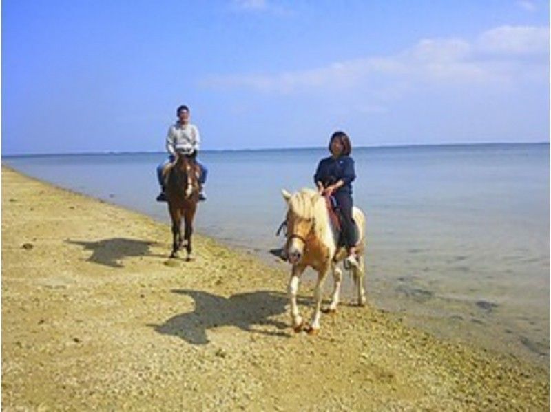 [冲绳-宫城岛]骑马，在沙滩上散步！海滩骑马徒步（课程90分钟）の紹介画像