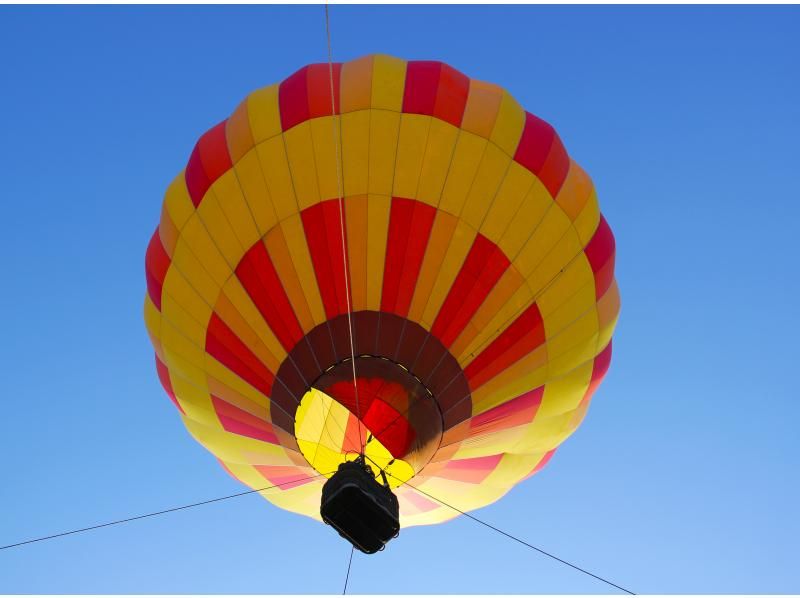 [Hokkaido Niseko]Hot air balloon mooring flight experience floating in the morning light!の紹介画像