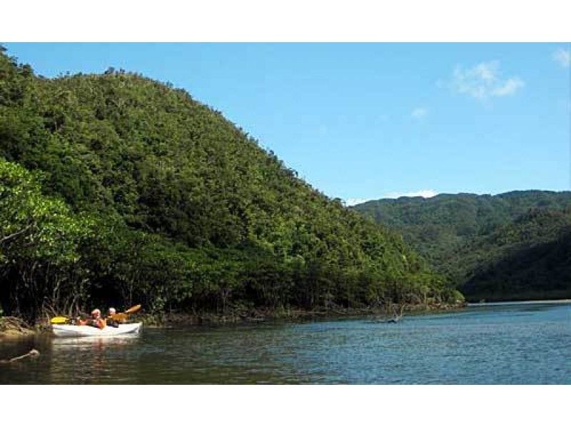 【 冲绳 ·西表岛】在中川★ 海上皮艇之旅中最接近红树林的途径の紹介画像