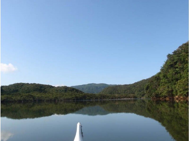 [ 오키나와 · 이리 오모테 섬] 이리 오모테 섬의 정글 깊숙한 마야구스쿠 폭포 ★ 카약 투어の紹介画像
