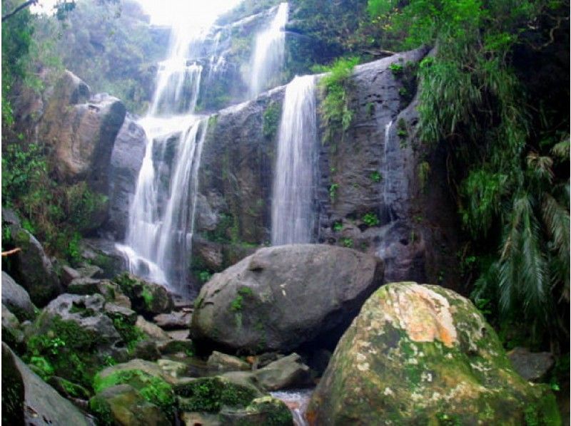[沖繩西表島]珍稀動植物景觀編織！徒步之旅，旨在瀑布Yutsun的三階段の紹介画像